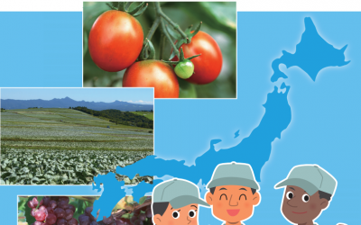 Agricultural Skill Assessment Test|日本語版